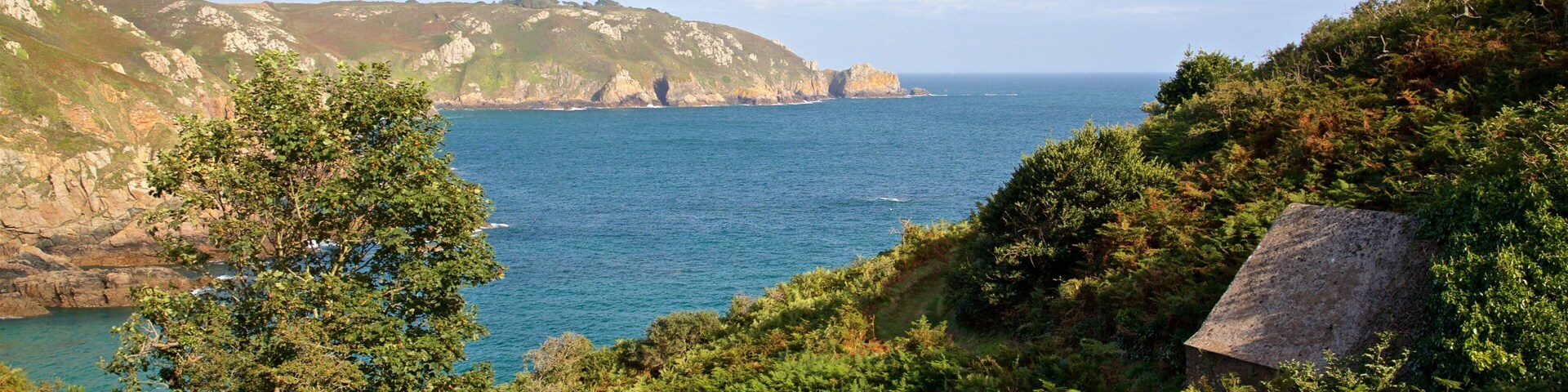 Petit Bot Bay welches beinhaltet FelskĂŒste und allgemeine KĂŒstenansicht