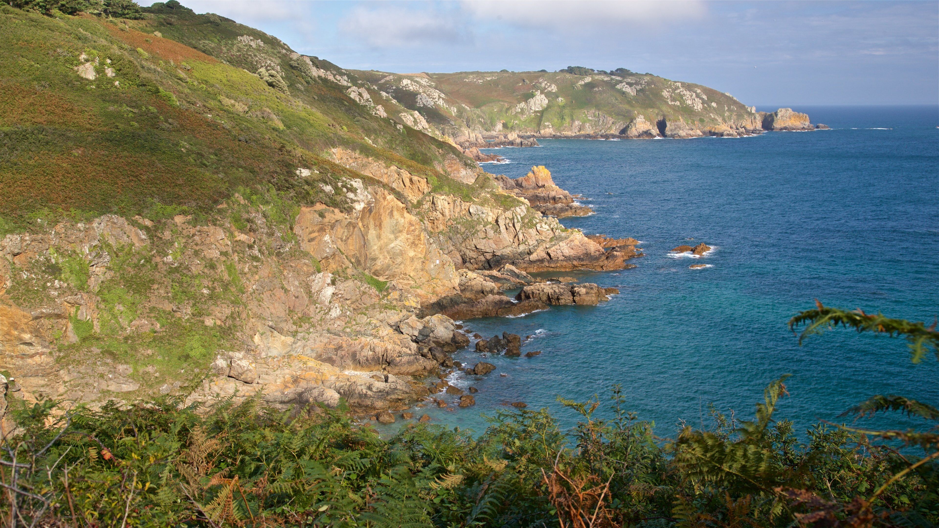 Petit Bot Bay which includes general coastal views and rocky coastline