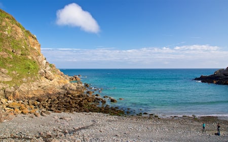 Cheap Flights to Forest