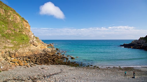 小機器人灣 其中包括 一般的海岸景觀 和 石灘 以及 佳偶