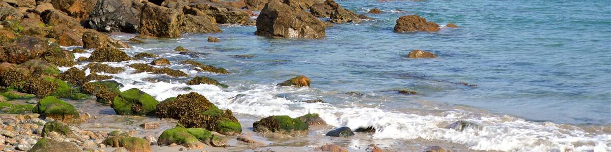 Petit Bot Bay featuring a sandy beach, rocky coastline and general coastal views