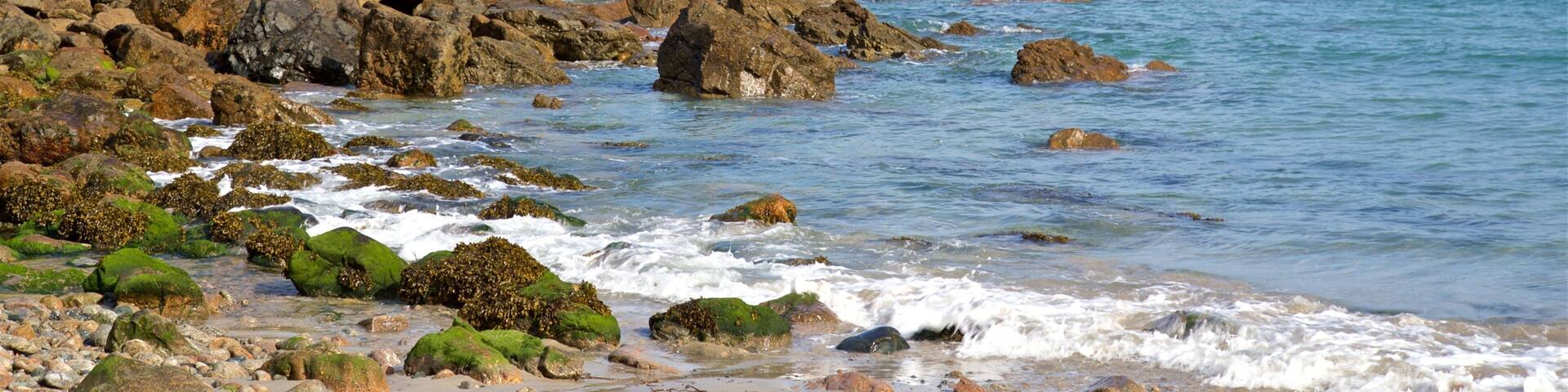 Petit Bot Bay featuring a sandy beach, rocky coastline and general coastal views