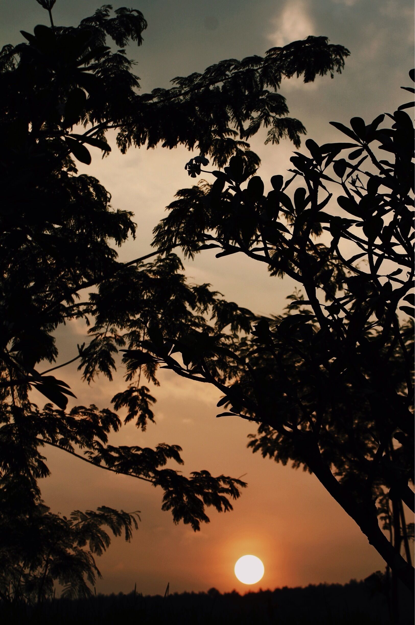 I really love that bright orange sun. 