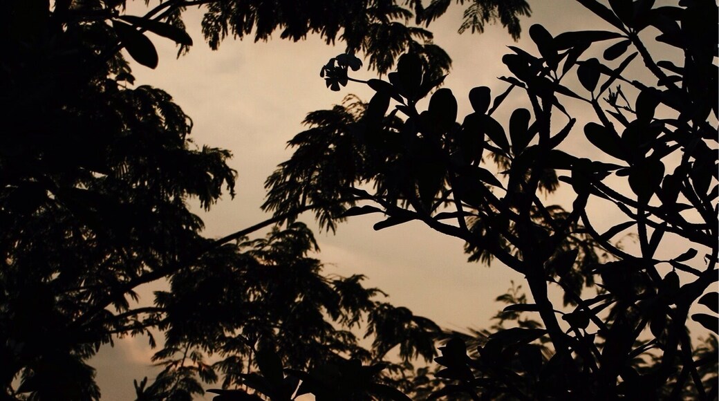 I really love that bright orange sun.