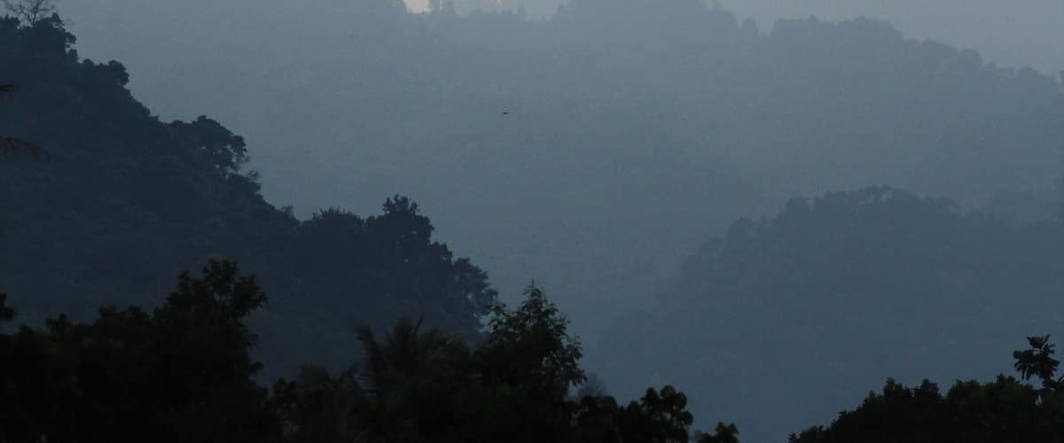 A misty mountain landscape with dense forests.
