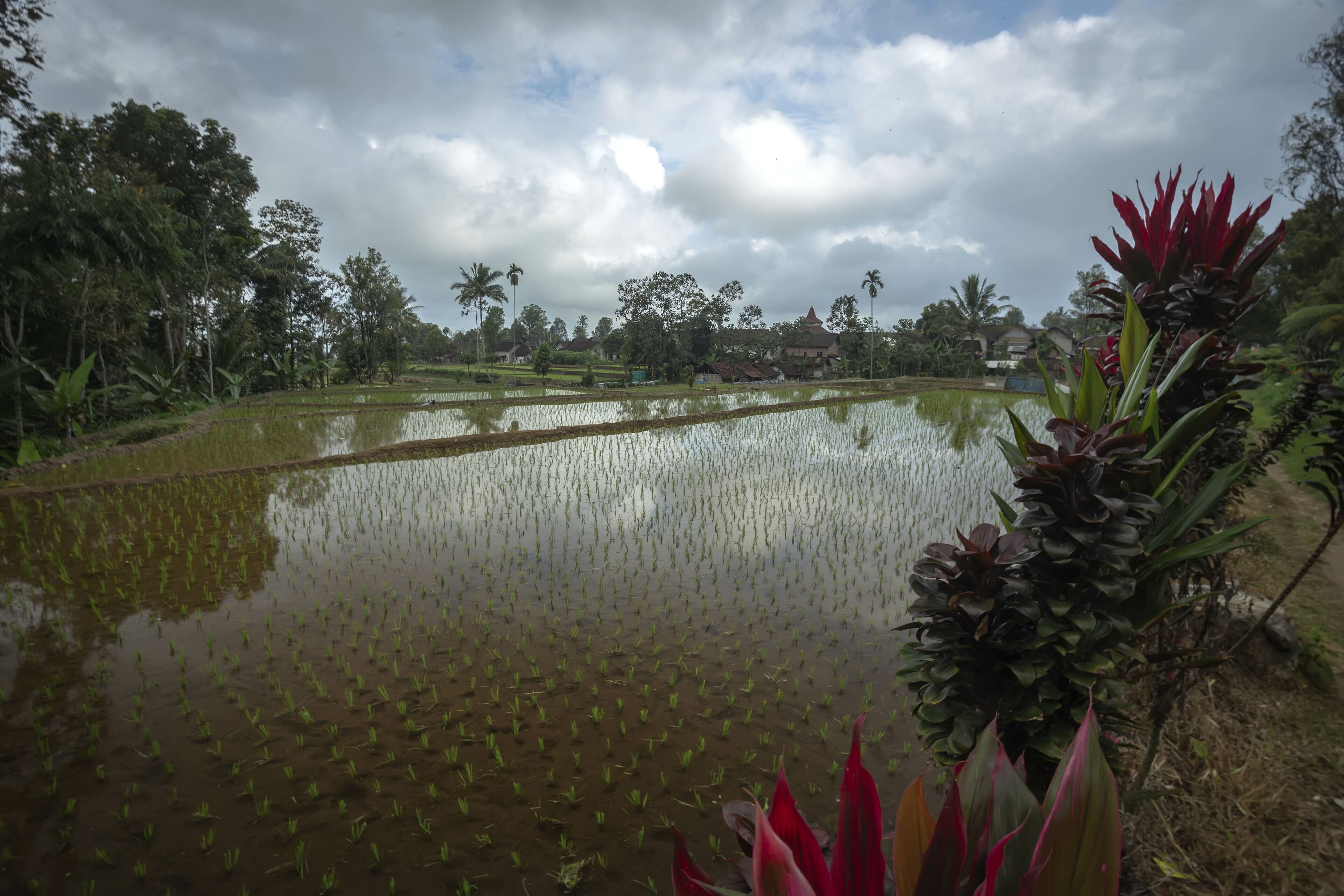 Beautiful view of Kembar Arum is One of the waterfalls in the Banyuwangi , East Java - Indonesia.
