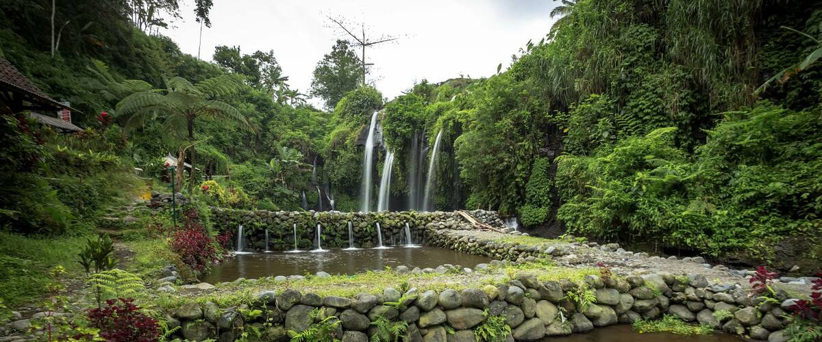 A waterfall cascading into a pond surrounded by lush greenery and a stone wall.