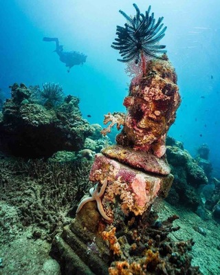 Just off the coast of Pemuteran in Northern Bali, lies a secret shrine under the ocean. You’ll need an advanced SCUBA certification to see it 🐳