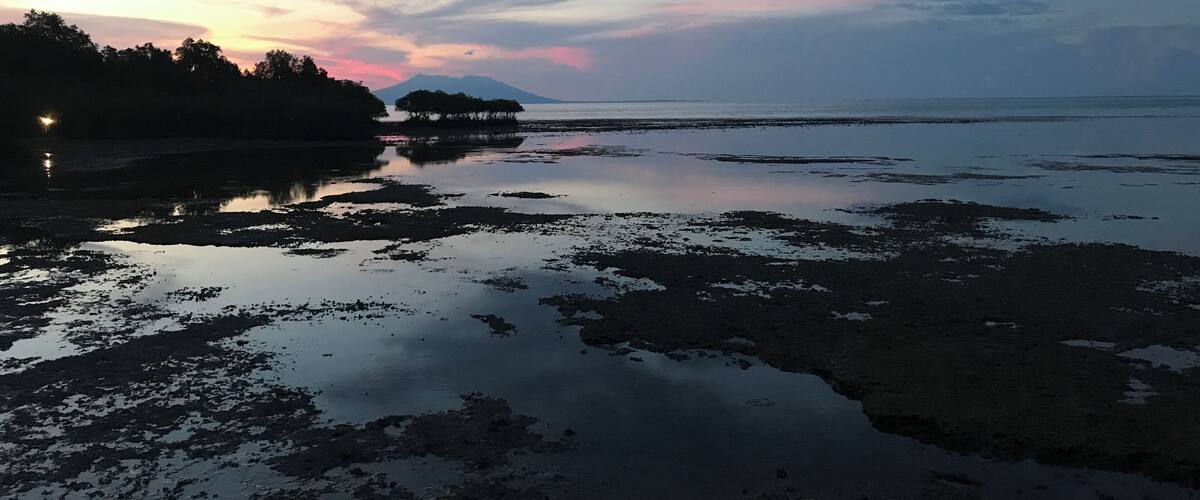 A coastal landscape with a sunset, a calm sea, and a small island with trees.