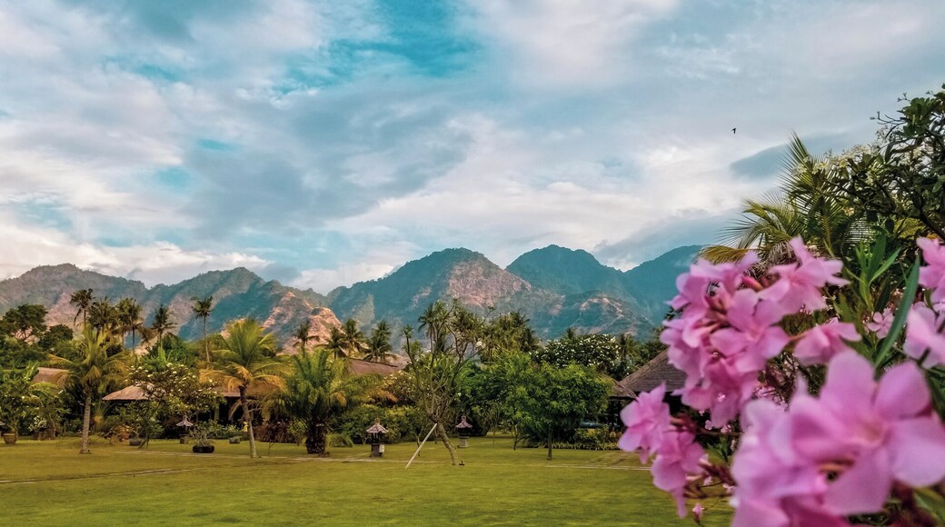 The North east shore of Bali is a quieter area that has so much to offer, the sea is quieter on this side, and the mountains surrounding the area is nature at it's best ! it's an area worth taking a few days to discover. #Nature #Bali #mountains #landscape