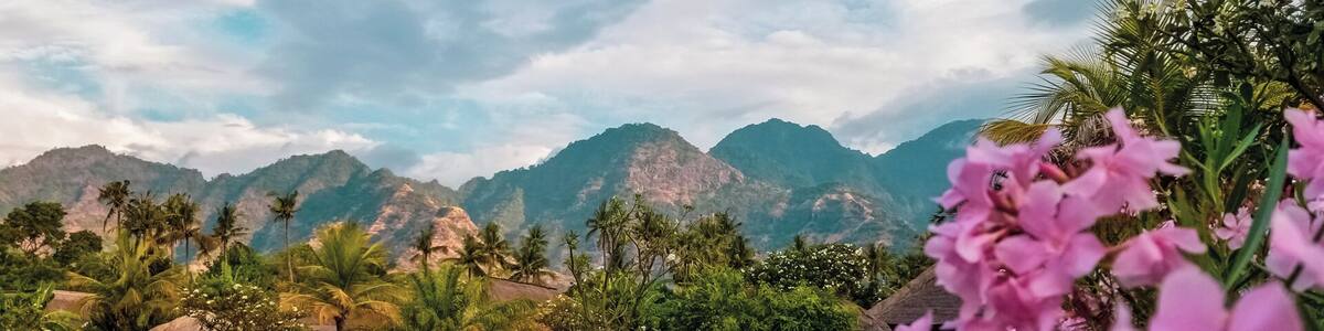 A lush green lawn with palm trees and a mountain range in the background.