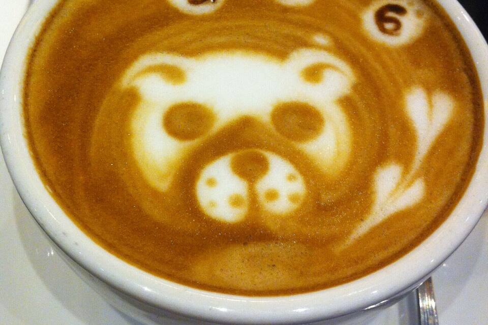A cup of coffee with latte art depicting a bear's face.