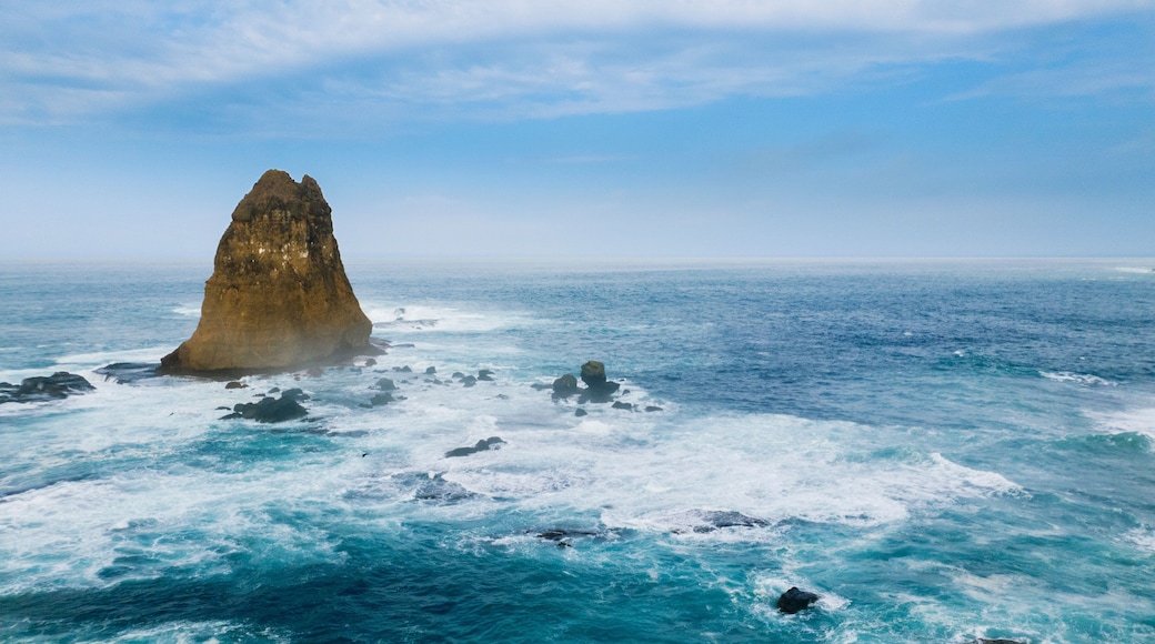 Beautiful seascape with big coral on Papuma beach