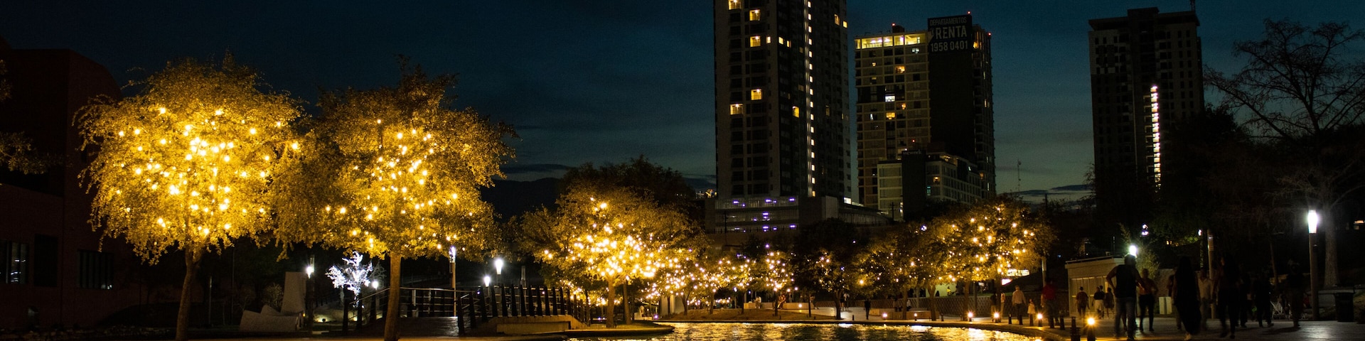 Paisagem urbana noturna com árvores iluminadas ao longo de uma orla, com reflexos de luzes na água.