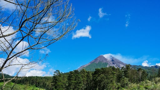 ์นผ๋ฆฌ์ฐ๋