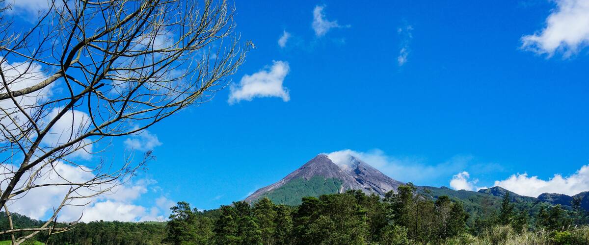 A mountain with a forested foreground and a clear blue sky.
