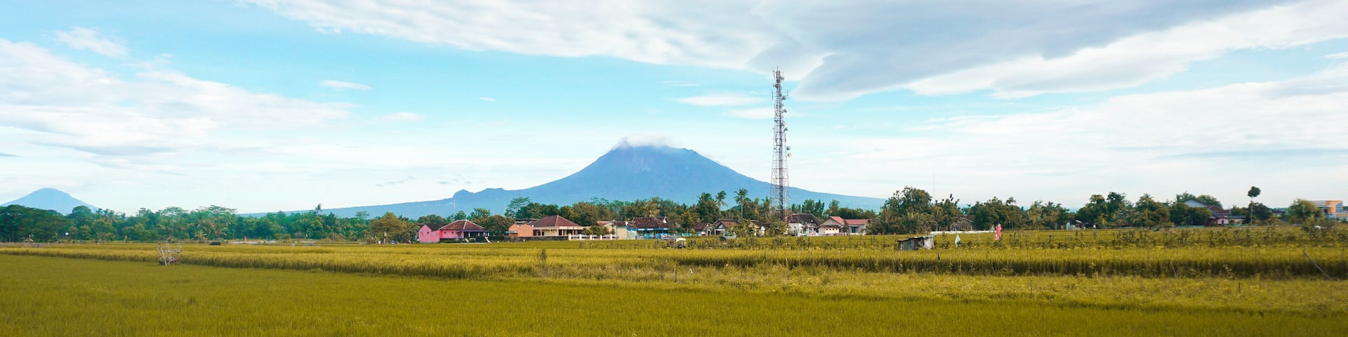 View of Merapi and rice fields, seen from Klaten