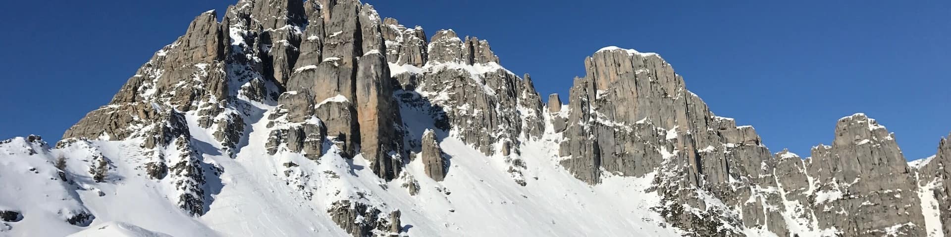 Les aiguilles sous la neige avec un magnifique ciel bleu