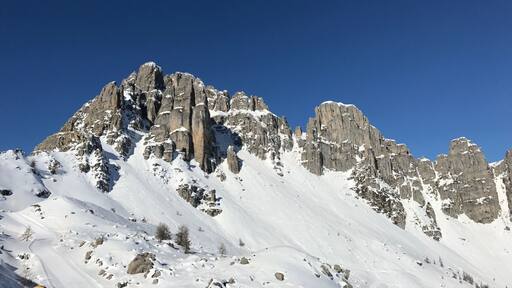 Les aiguilles sous la neige avec un magnifique ciel bleu