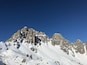 Les aiguilles sous la neige avec un magnifique ciel bleu