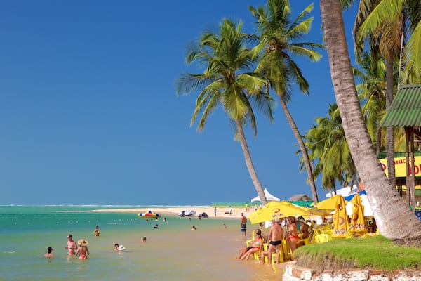 Ein Strand mit Palmen, badenden Menschen und gelben Sonnenschirmen.