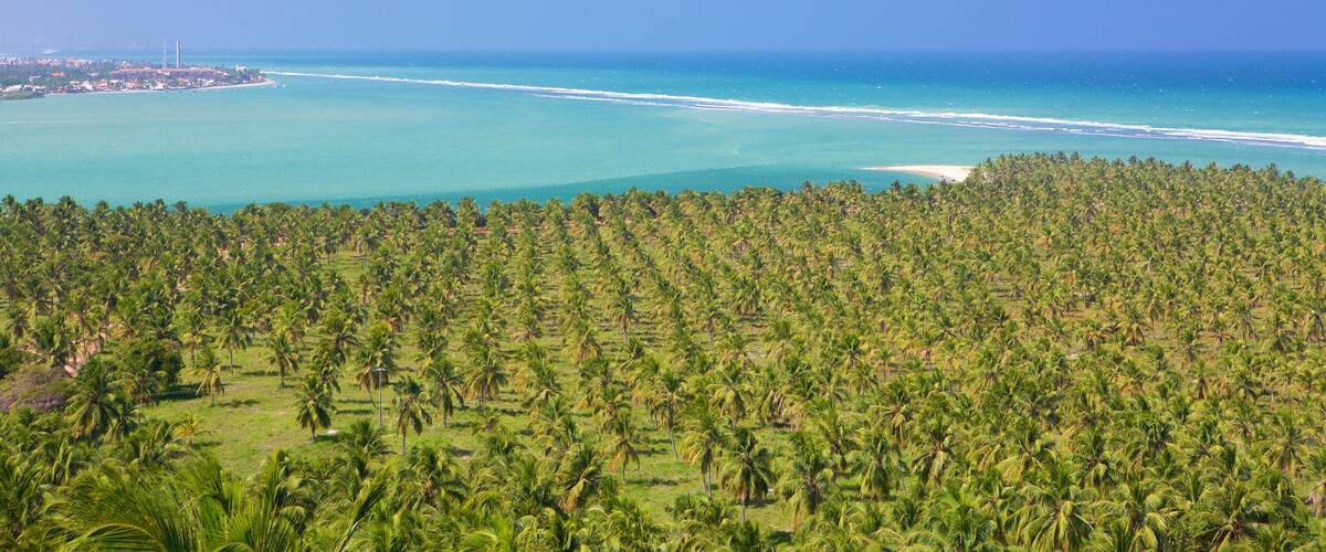 Maceió og byder på en bugt eller havn, tropiske områder og udsigt over kystområde