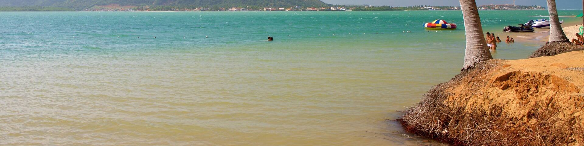 Maceio showing tropical scenes and general coastal views