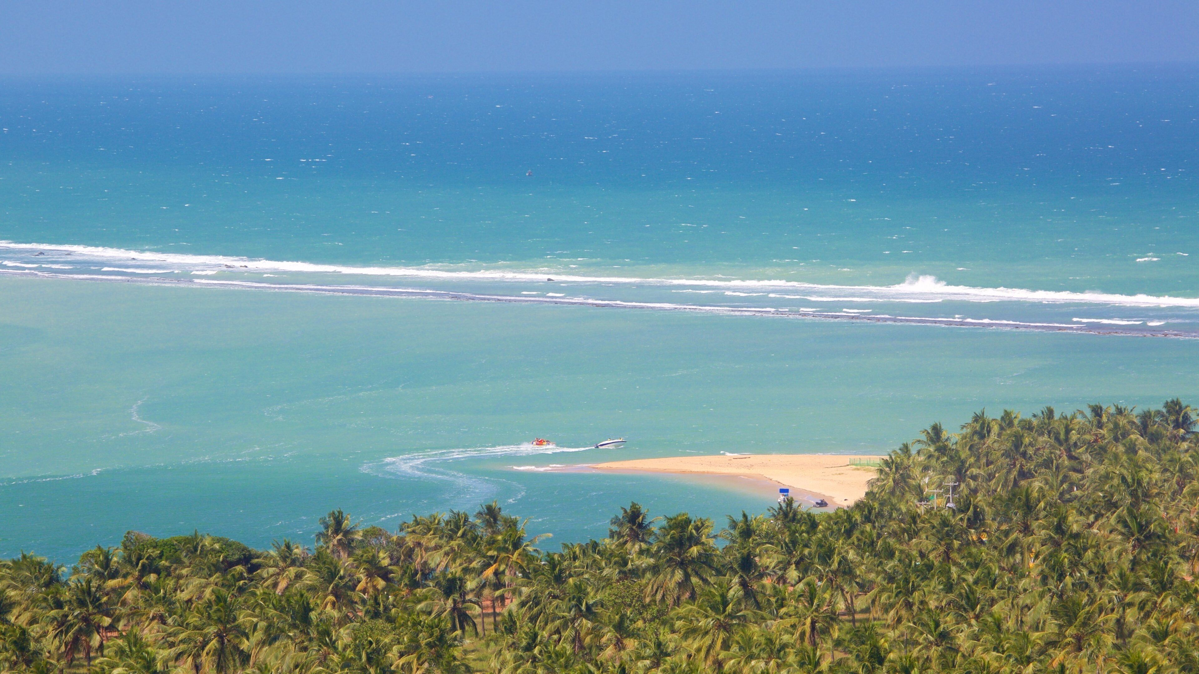A coastal landscape with a beach, palm trees, and a clear blue ocean.