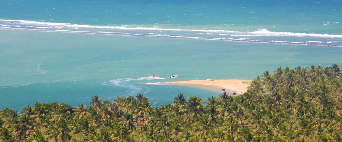A coastal landscape with a beach, palm trees, and a clear blue ocean.