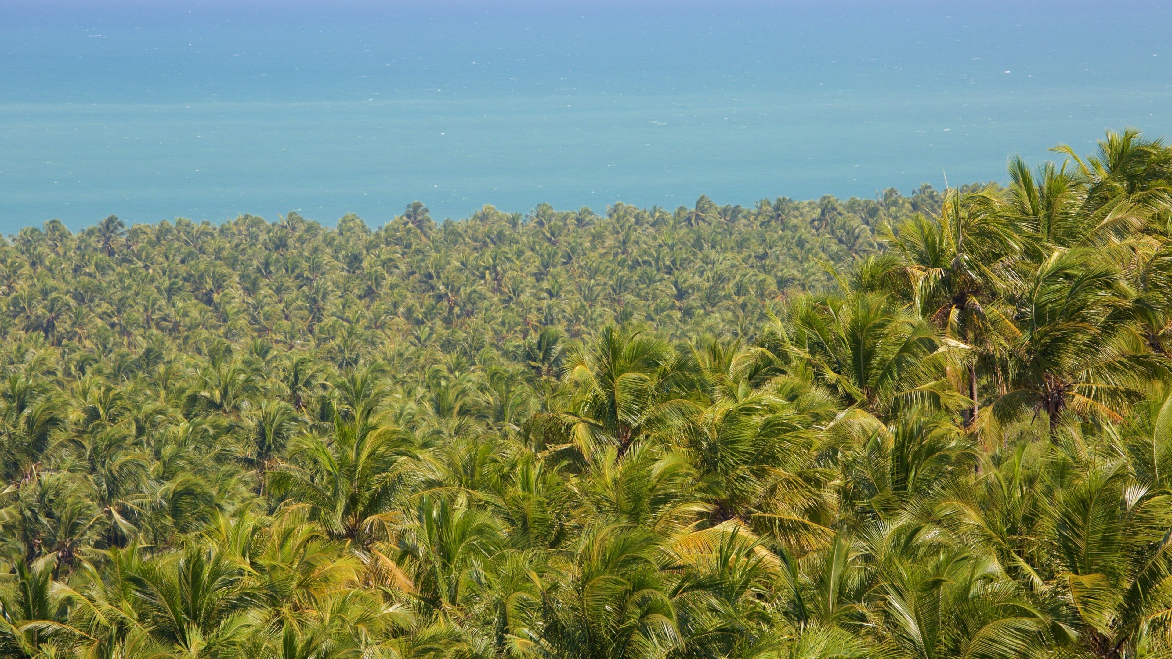 Gunga Beach featuring landscape views and general coastal views
