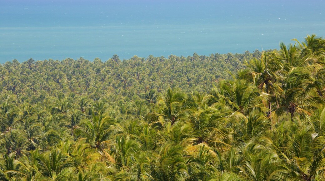 Gunga Beach featuring landscape views and general coastal views