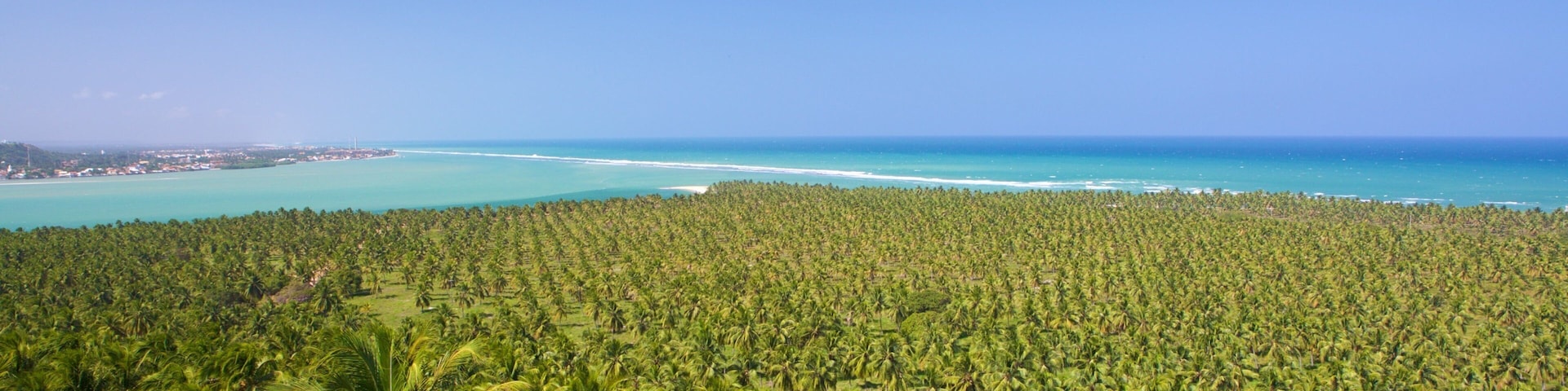 Gunga Beach which includes tropical scenes and general coastal views