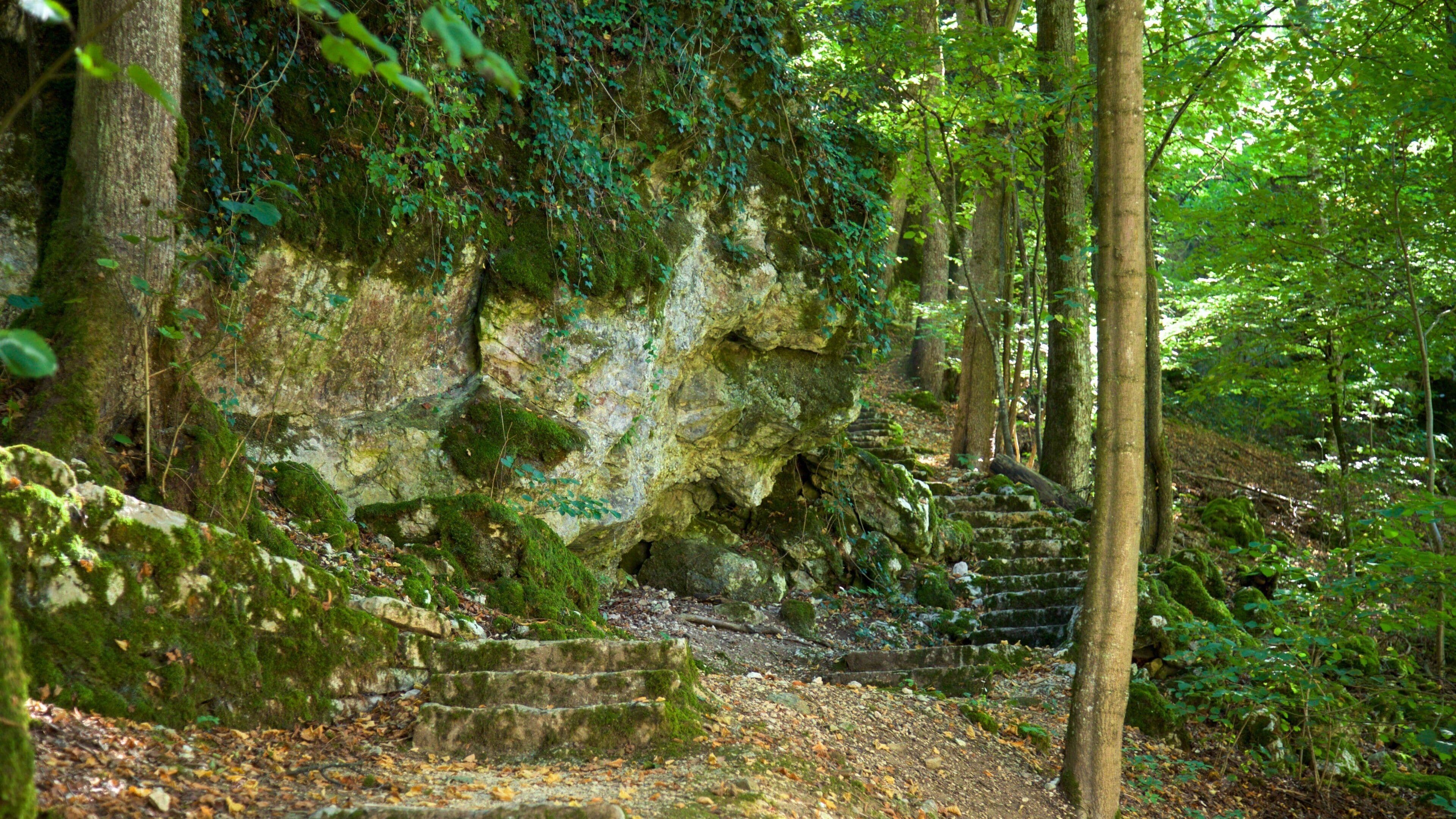 Jardín Botánico de Neuchâtel