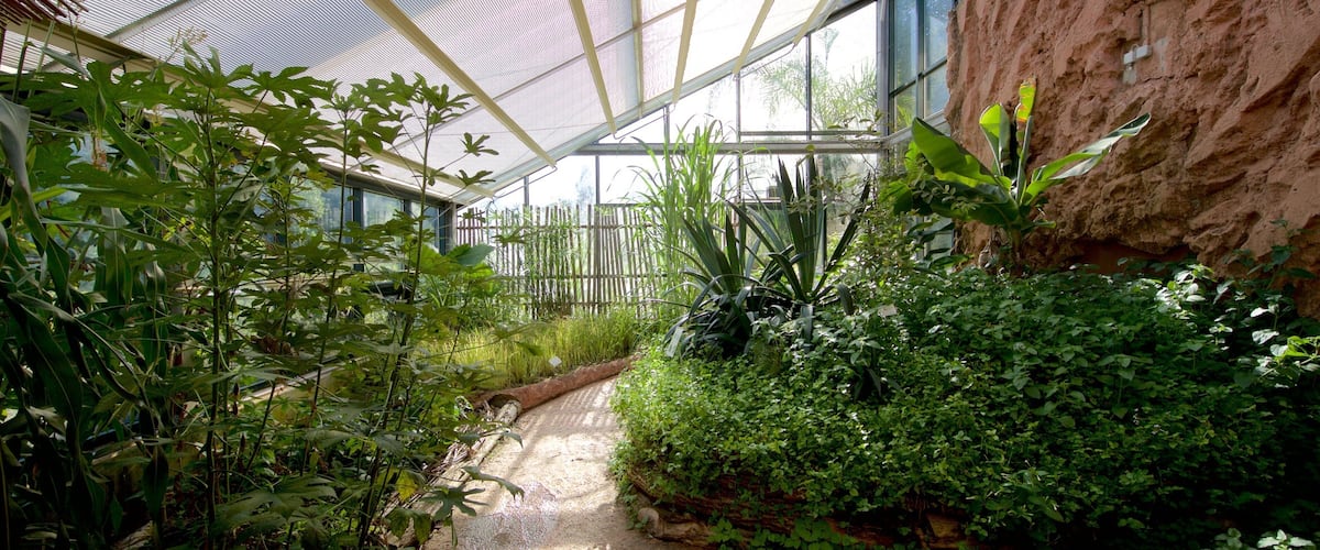 Giardino botanico di Neuchâtel