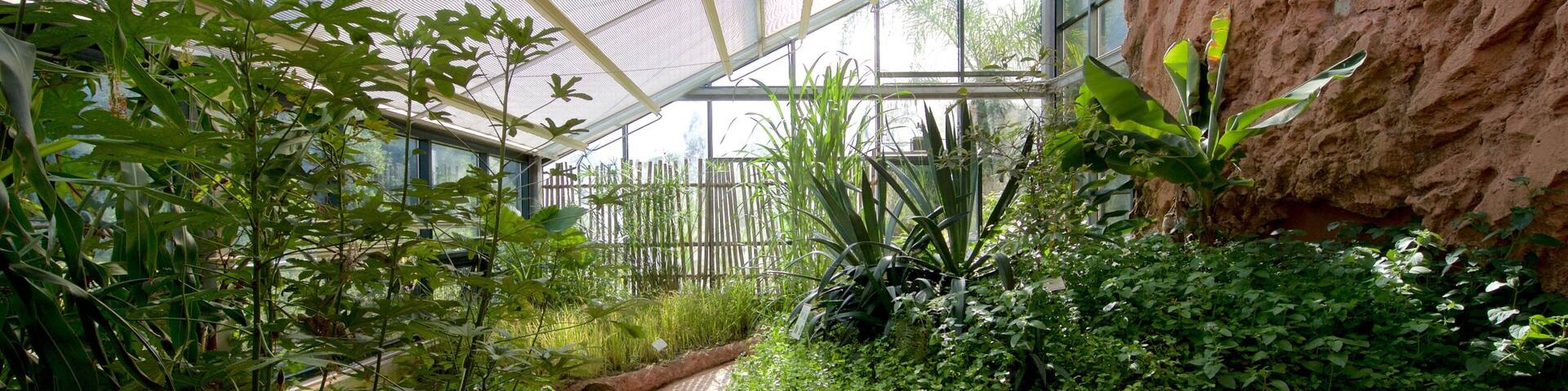 Neuchatel Botanical Garden