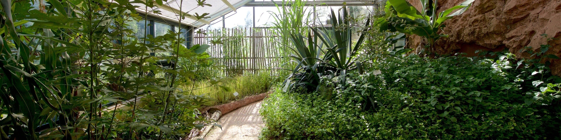 Neuchatel Botanical Garden