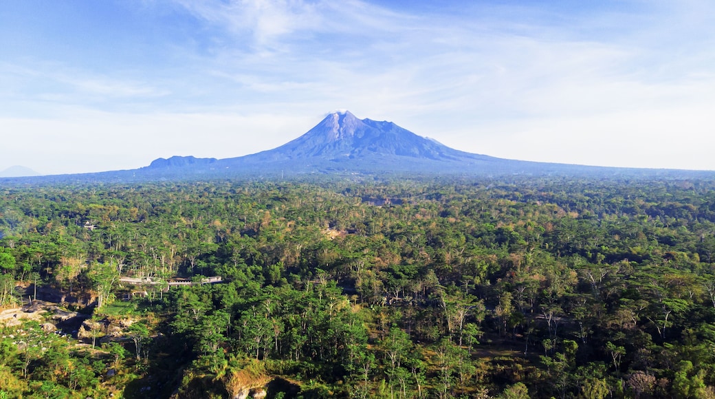 Aerial view of the majestic Merapi Mountain rises distantly over the dense, vibrant green forest, a contrast of cool blues and warm greens, Klaten, Central Java, Indonesia.