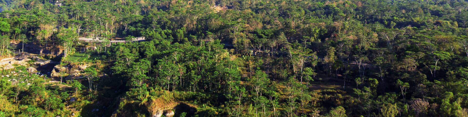 Aerial view of the majestic Merapi Mountain rises distantly over the dense, vibrant green forest, a contrast of cool blues and warm greens, Klaten, Central Java, Indonesia.