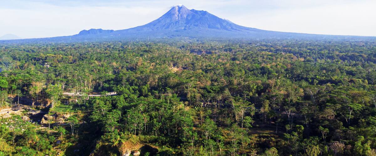 A volcano with a dense forest in the foreground.