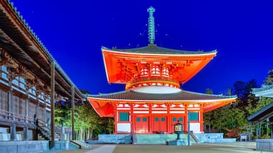 高野山町