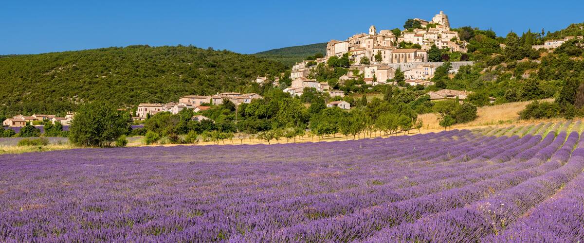 A lavender field, a hilltop village with historic buildings, and a clear blue sky.