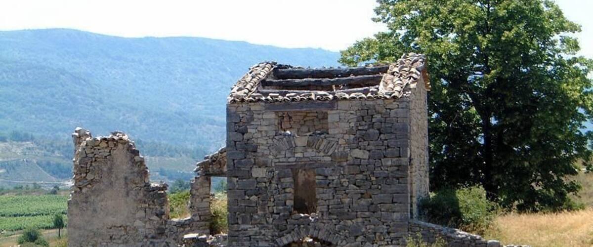 A stone ruin with a tiled roof amidst a grassy field and a tree in the background.