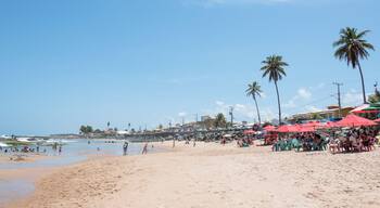 EyeEm Custom Shoots Q4 2018