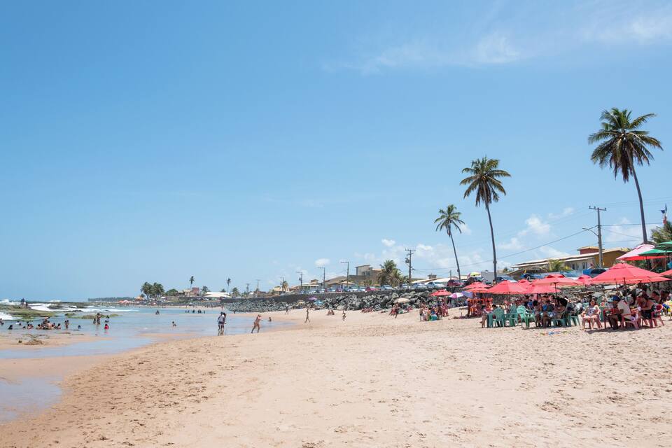 A crowded beach with palm trees and beach umbrellas.