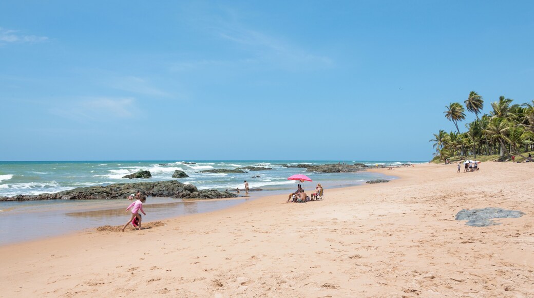 ブスカ ビーダ ビーチ