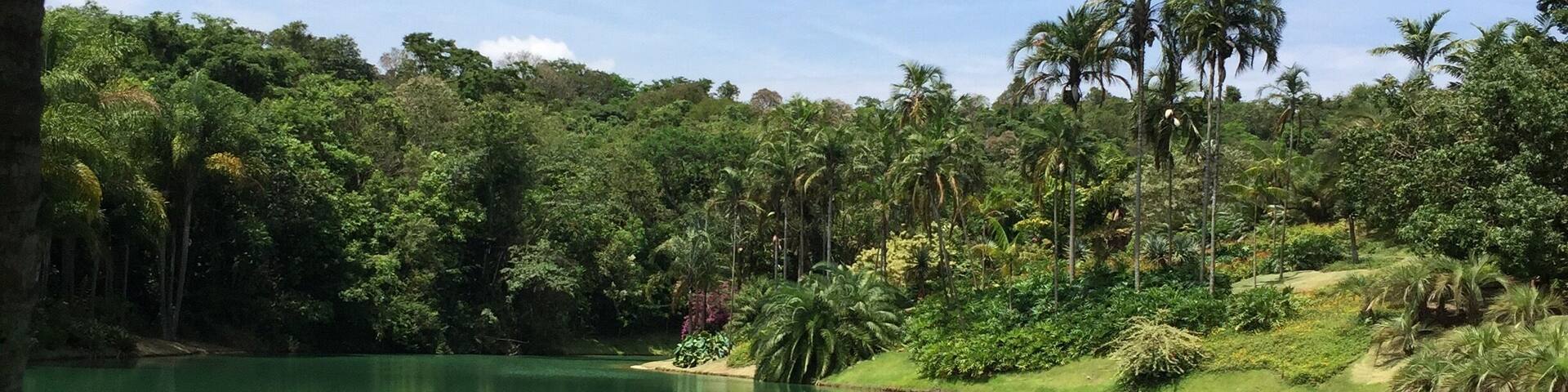 Inhotim ia worrh a visit in many days.