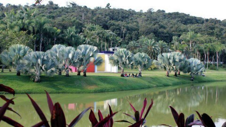A landscaped garden with palm trees, a pond, and a building in the background.