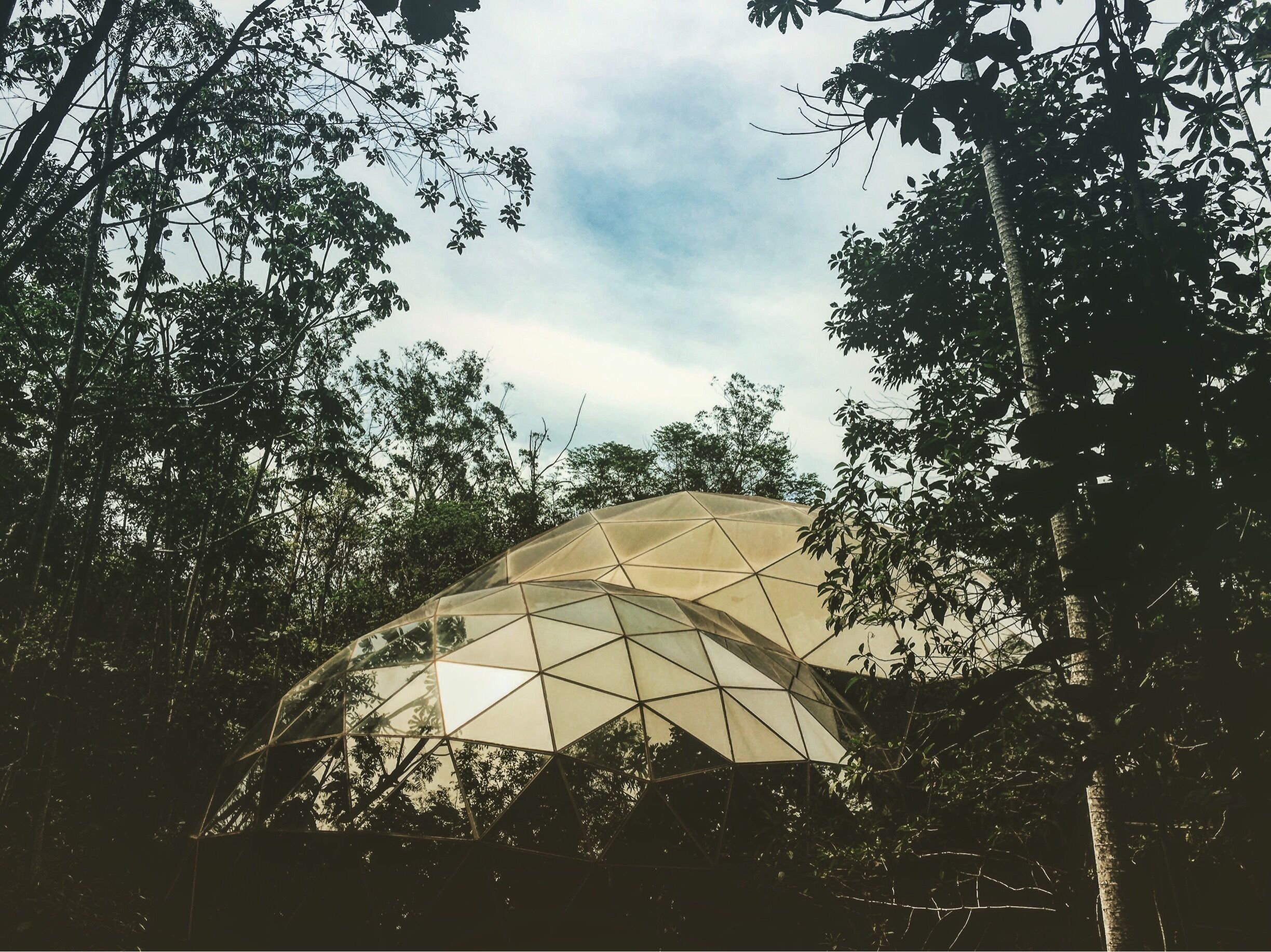 A geodesic dome structure surrounded by dense foliage.