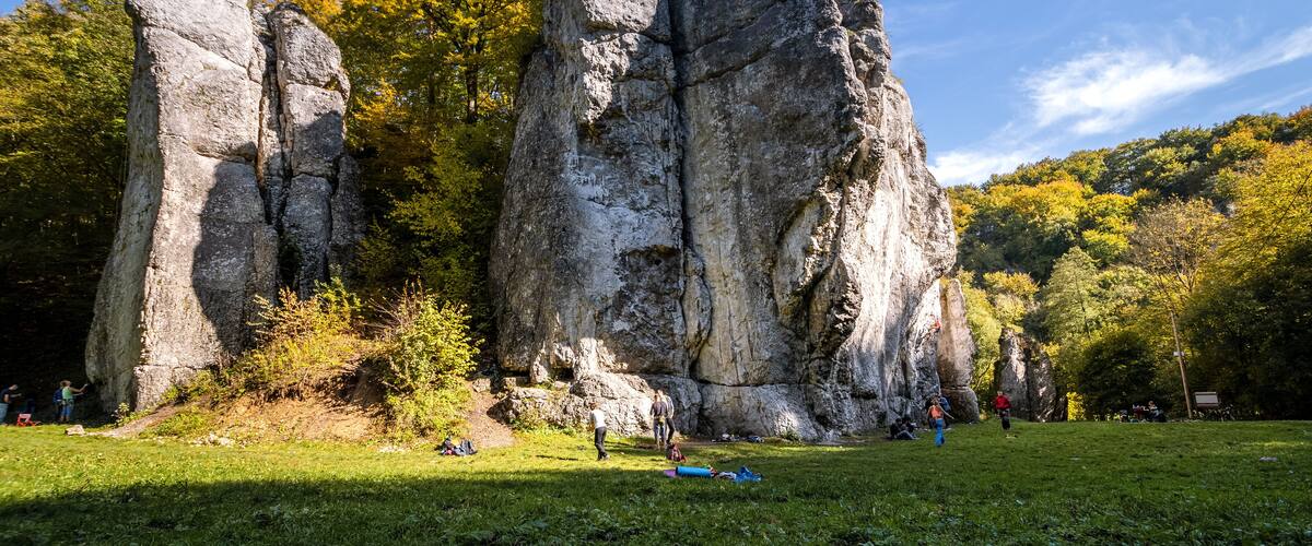 A large rock formation with a grassy foreground and trees in the background.