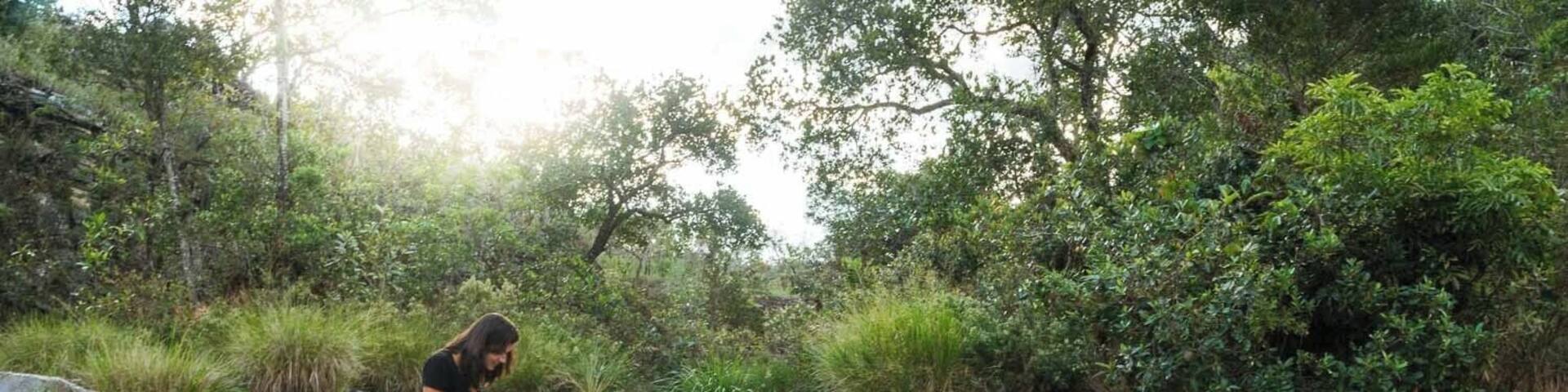 Waterfalls in CapitĂłlio, state of Minas Gerais, Brazil. #Adventure